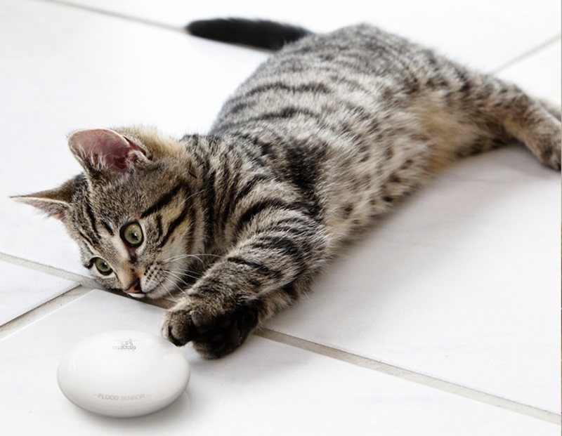 Fibaro